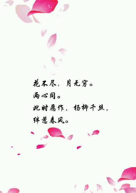 简短的供词