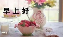 新的一年心情说说