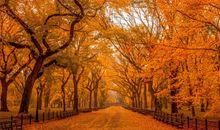 秋天景色的成语