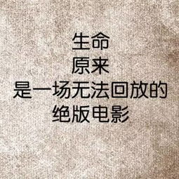 佛教正能量句子