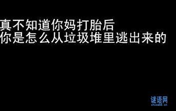 没有脏话的脏话