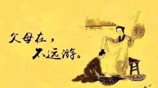 真实句子