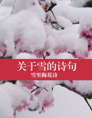 爱情诗描写雪