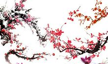梅花的好词