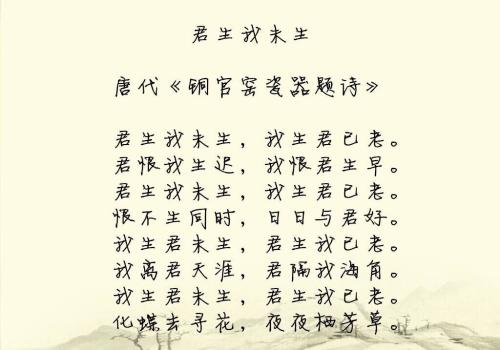 自白的爱