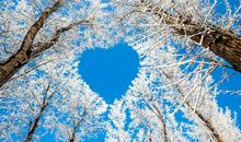 冬天优美的句子