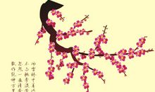梅花的名言