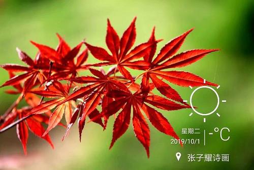 歌词
