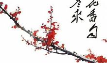 赞美梅花诗句大全