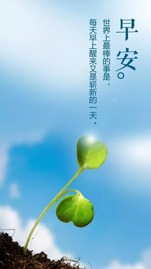 鼓舞人心的美丽句子