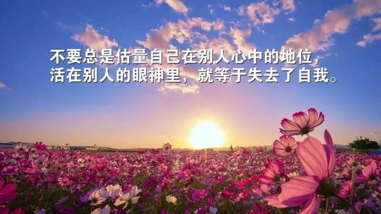漂亮的句子描述心情愉快