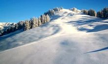 描写雪景的段落