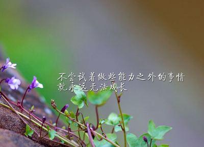 成长座右铭
