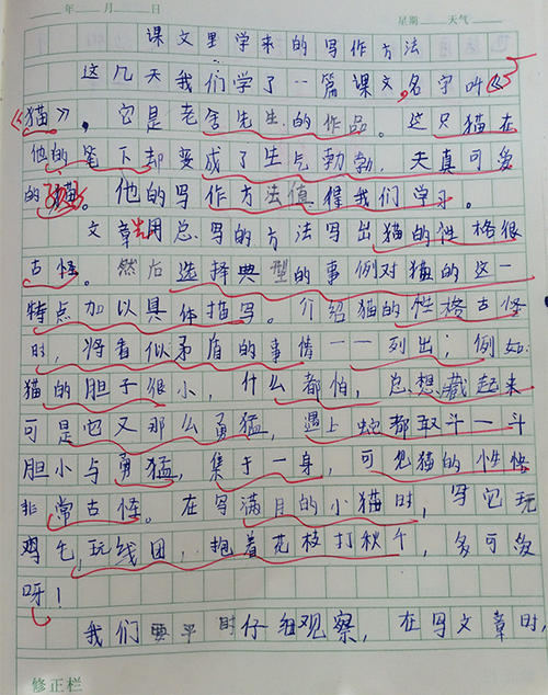 描述老师眼睛的句子