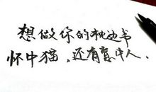 美到令人心痛的句子