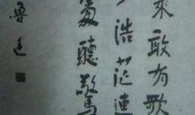 鲁迅狂人日计这本书的名言