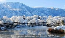 描写月景的好段