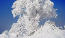 描写冬天美景的词语