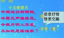 借月亮抒情的诗句