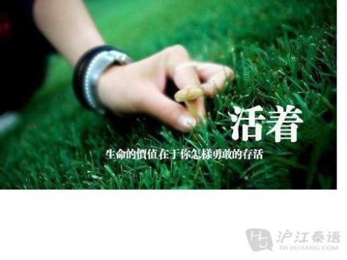 形容生活的句子