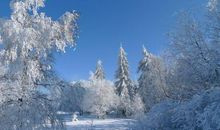 描写冬天美景的成语