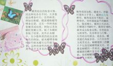 描写昆虫的诗句