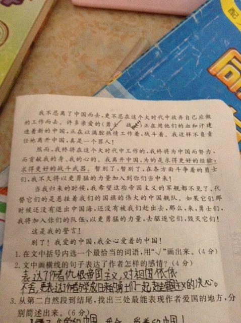 爱国的句子