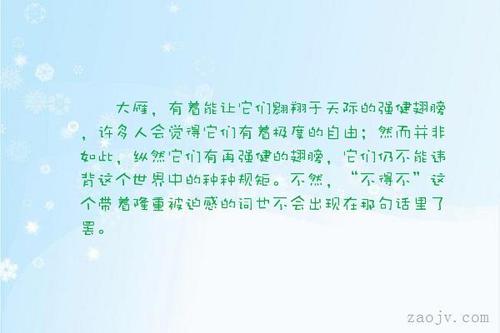 大雁的好词句
