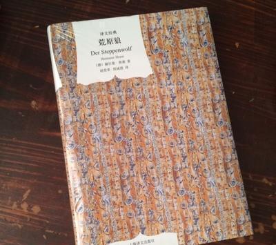 荒原狼经典句子