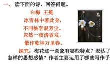 描写咏物抒情的诗句