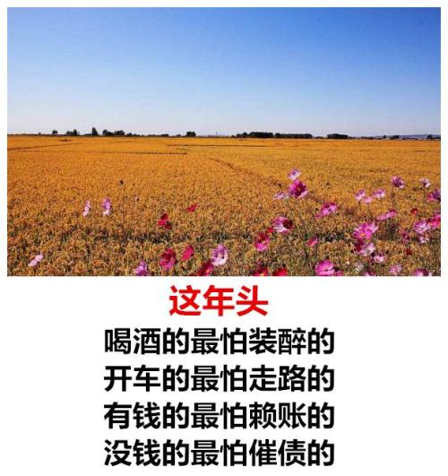 现实的话