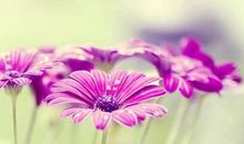 描写夏天优美句子