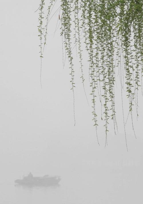 关于春雨的诗