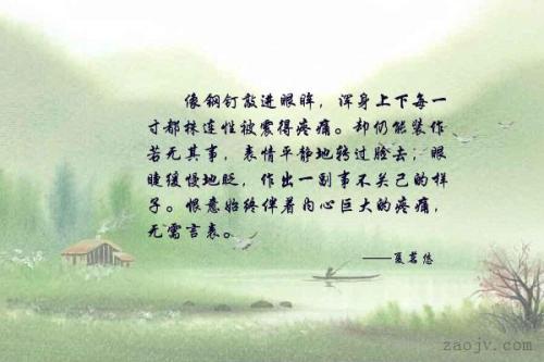写漂亮的句子