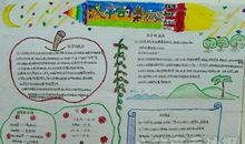 关于二年级谚语手抄报