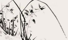 描写兰花的诗句古诗