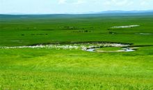 描写草原的古诗