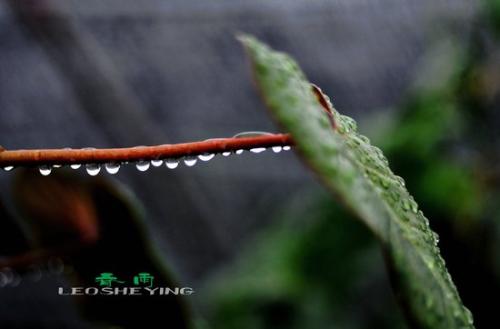 片段描绘雨