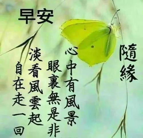 关于春节的短语