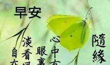 关于春节的短语