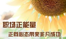 职场正能量励志句子