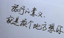 独特的表白句子