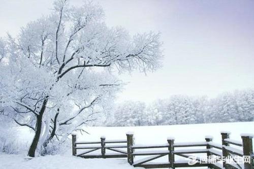 描述雪景