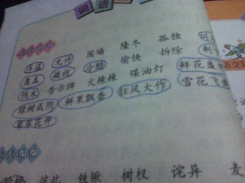 一个描述很多雪的成语