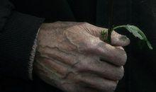 老人去世哀悼短信