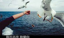 美得令人心醉的句子