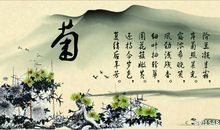 描写菊花的诗句古诗