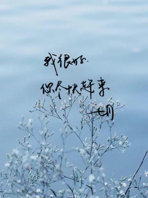 美丽而深刻的句子