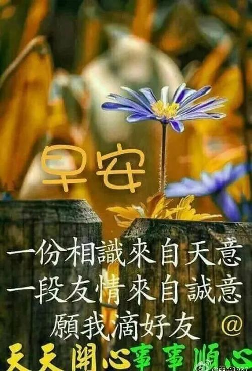 早上好问候短信