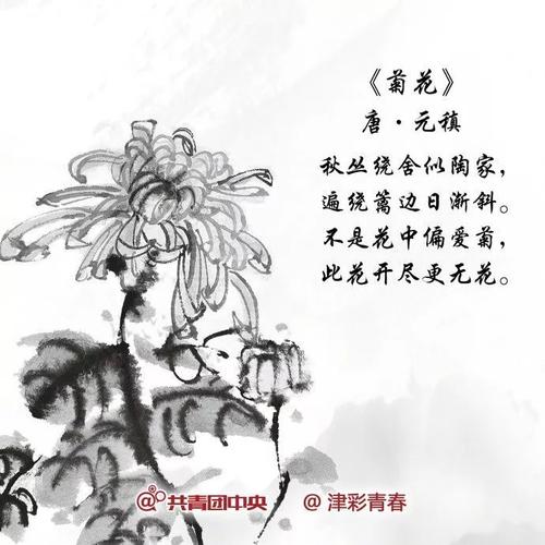 爬高，望得远